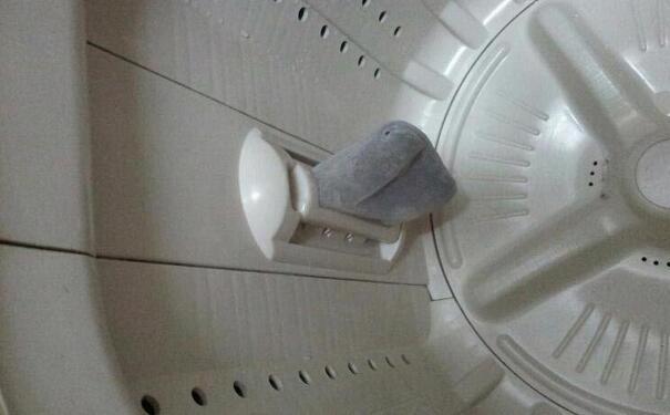 洗衣机的过滤器如何快速清洗(图2) 洗衣机的过滤器如何快速清洗(图2)